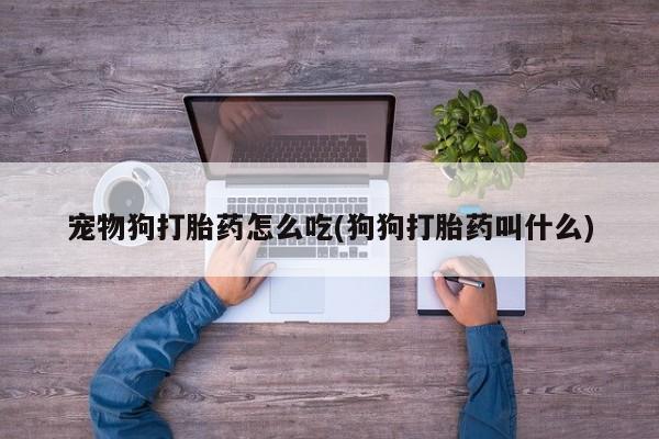 流产药微信联系方式安全无副作用宠物狗打胎药怎么吃(狗狗打胎药叫什么)